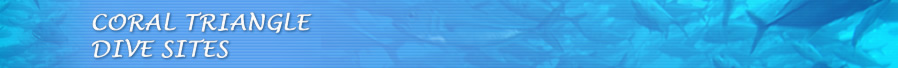 CORAL-TRIANGLE
